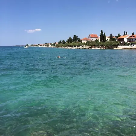 Rosmarin דיקלו